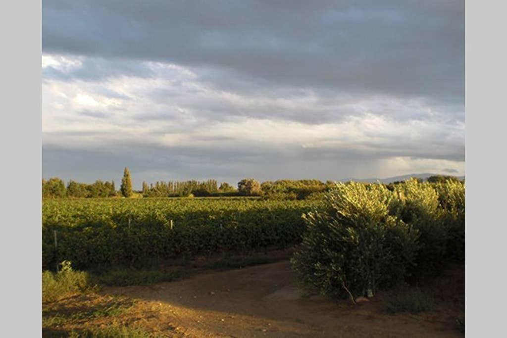 Gite De Charme Du Domaine Pagnon Guillemette Torreilles Bagian luar foto