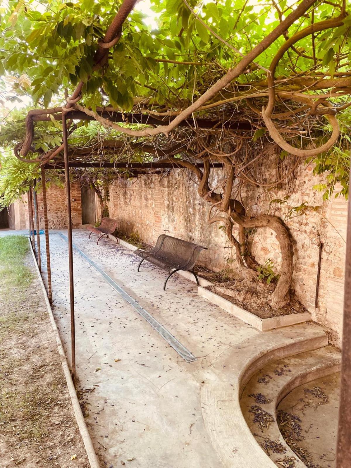 Gite De Charme Du Domaine Pagnon Guillemette Torreilles Bagian luar foto