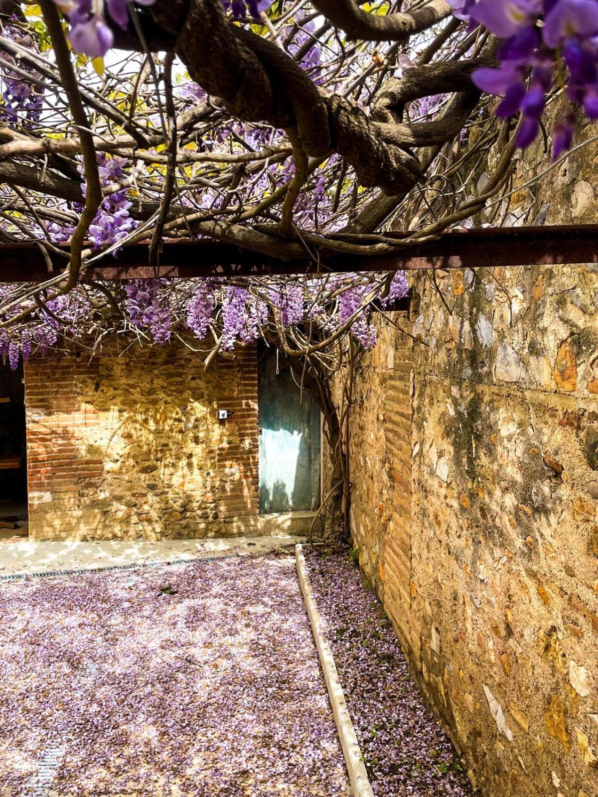 Gite De Charme Du Domaine Pagnon Guillemette Torreilles Bagian luar foto